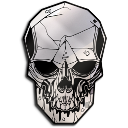 New mirror skull 2022 - new traditional skull - neo gothic - horror mirror - decorative skull